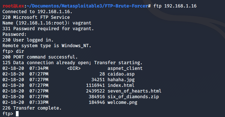 Metasploitable 3 – Solución (Parte 1 – FTP)